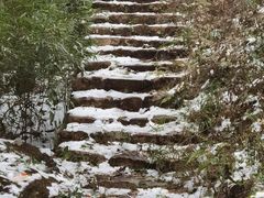 -姑婆山旅游区