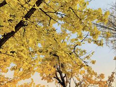 -两江幸福广场