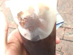 -罗汉果龙眼冰糖燉冬瓜