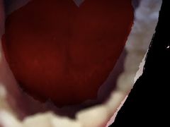 -西安交通大学口腔医院(主院区)