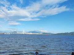 -深圳湾公园(南山区)