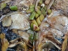 -柘林湖生态鱼馆