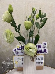-北京炫美医疗美容
