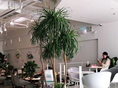 -张一元茶庄(望京店)