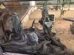 -荔城生鲜盛宴(番禺旗舰店)