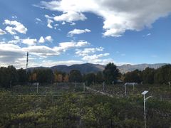 景观位-那家山城(樱桃园店)