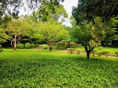 -八大关景区