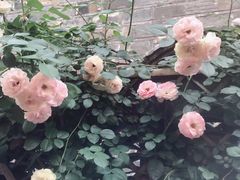 -品腐记·豆腐王朝(老门东总店)