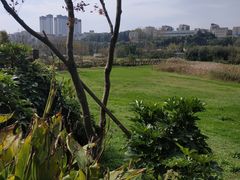 -贵阳市花溪国家城市湿地公园