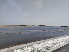 -南大港湿地风景区