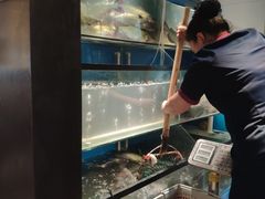 -老板恋上鱼(印象城店)