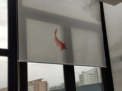 -中国科技会堂