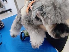 -芭比堂动物医院广州顽皮分院