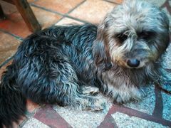 -老宅原住民沙茶面精品小吃(龙头路店)