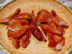 -大树头森林餐厅(番禺广场店)