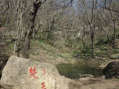 -句容茅山景区