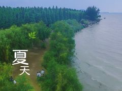 -捞渔河湿地公园