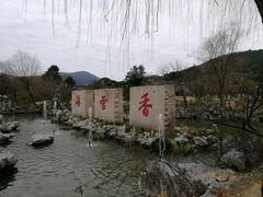 -香雪海