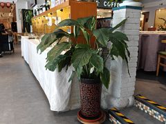 -YAFEE雅菲·粤菜·湘菜·融合菜(魏公村店)