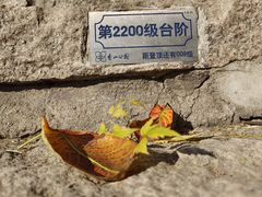 -香山公园