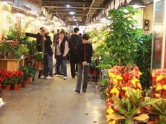 -双季花艺园艺市场(浦东店)