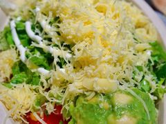 -油梨树AVOCADO TREE(嘉里中心店)