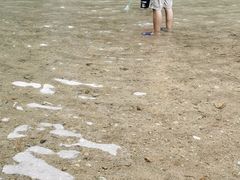 -红山村