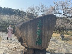 -香雪海