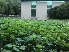 -绍兴鉴湖君澜大酒店