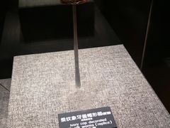 -河姆渡遗址博物馆