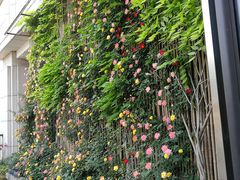 -瓦库茶馆17号(海汇港店)