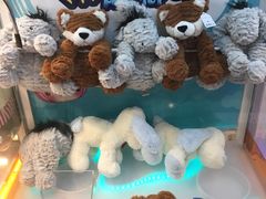 -PAWTOY爪e玩偶店(天兴罗斯福店)