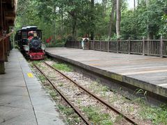 -合肥滨湖国家森林公园