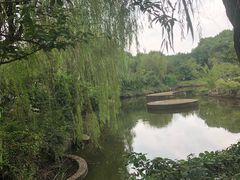 -白马涧龙池景区