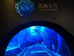 -成都浩海立方海洋公园