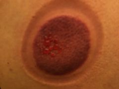 -汤泉良子.足疗按摩.SPA(中关村店)