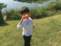 -荷塘月色湿地公园·向阳花洲