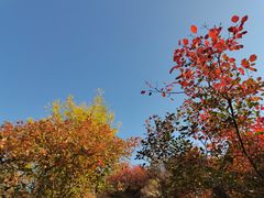 -北京十三陵国家森林公园蟒山景区