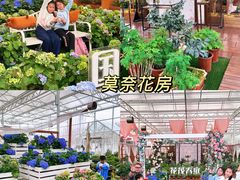 -盈香心动乐园