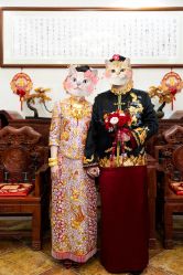 -MuseMarry婚纱(前海嘉里中心店)