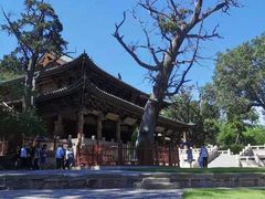 -晋祠公园
