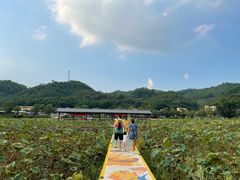 -红山村