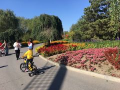 -长春公园(普阳街道)