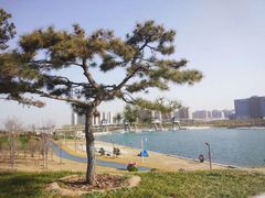-北龙湖湿地公园