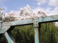 -奥兰多迪士尼动物王国乐园