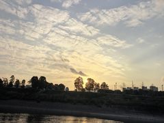 -张坝桂圆林公园
