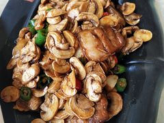 肉片炒口蘑-肘子酥·天津菜·特色捞面(德云社店)