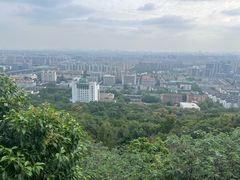 -杭州半山国家森林公园