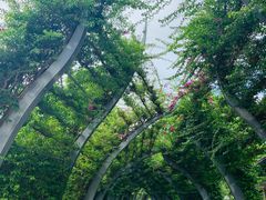 -布里斯班南岸公园