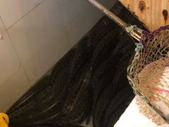 -龙继斑鱼庄(犀浦店)